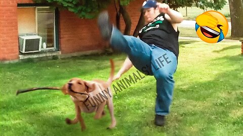 Funny animal of the world.latest funny animal clips,very funny dogs and cats,