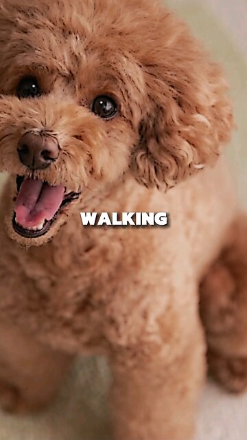 The Worst Business Mistake