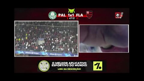 PALMEIRAS X FLAMENGO AO VIVO!!!