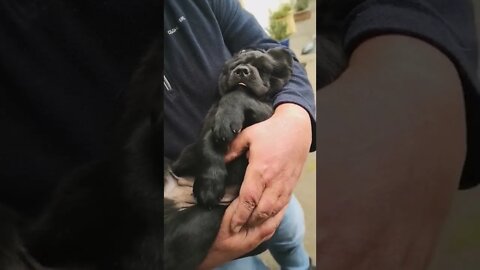 And it's goodnight from us... 🥰