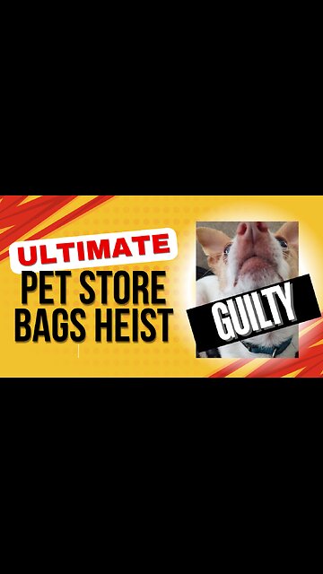 Pet Store Bags HEIST!