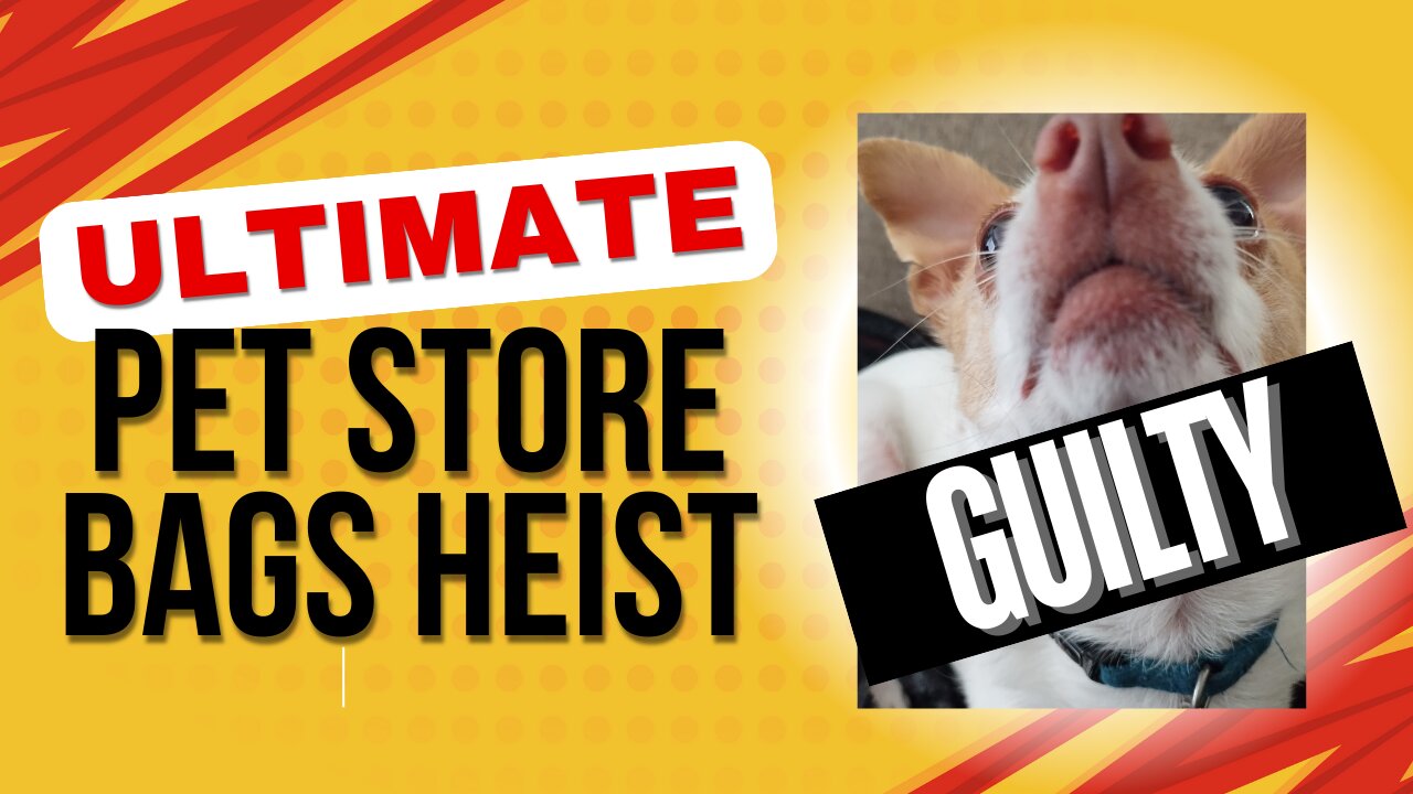 Pet Store Bags HEIST!