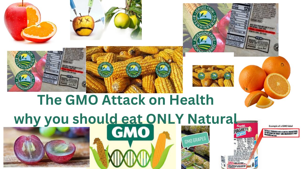 The GMO Attack On Health