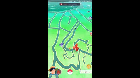 Live Pokémon GO -