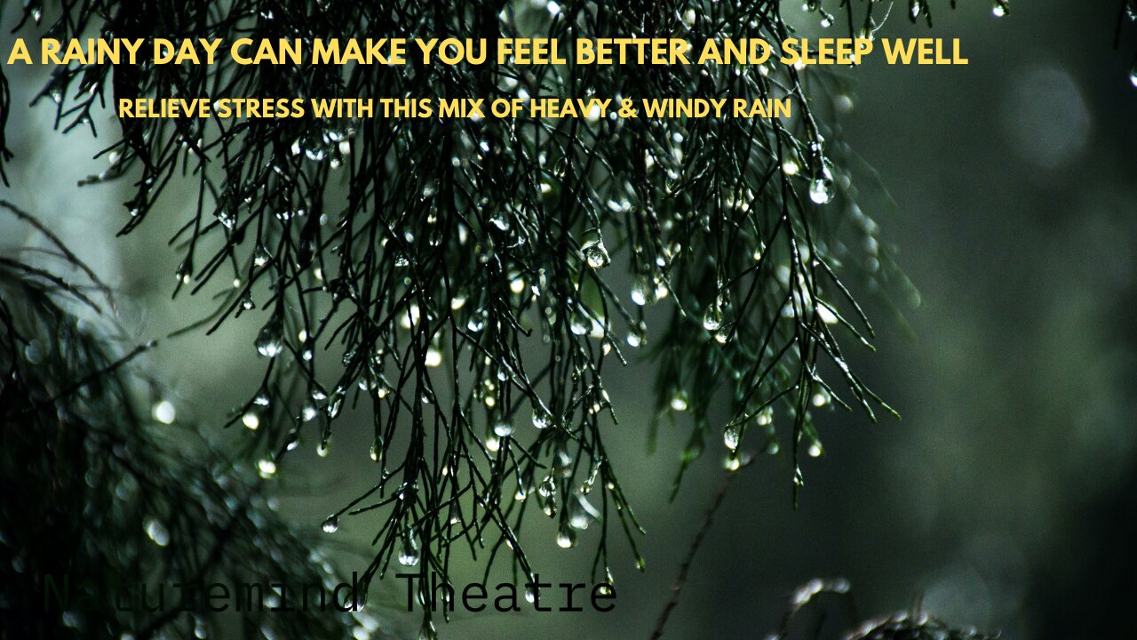 Heavy And Windy Rain On Leafy Trees For Relaxation, Meditation, Sleep | Soak Your Stress Away