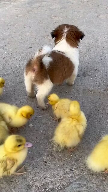 E essa amizade de milhões