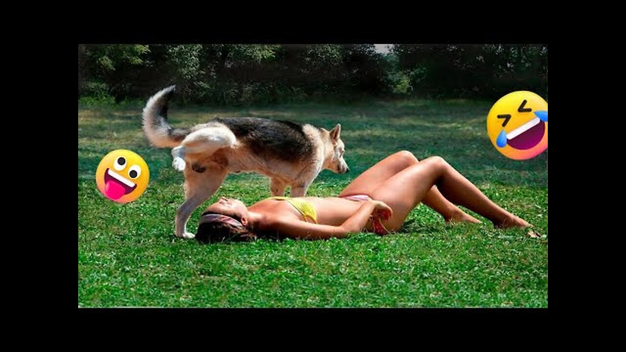 Funny 😇cats and dogs videos😜 - Funny Animals Hub😆