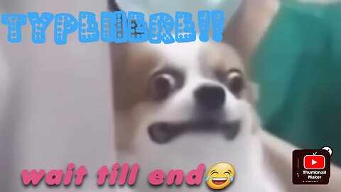 NEW FUNNY ANIMAL😂funniest cat and dog video 🐕 🐈😂