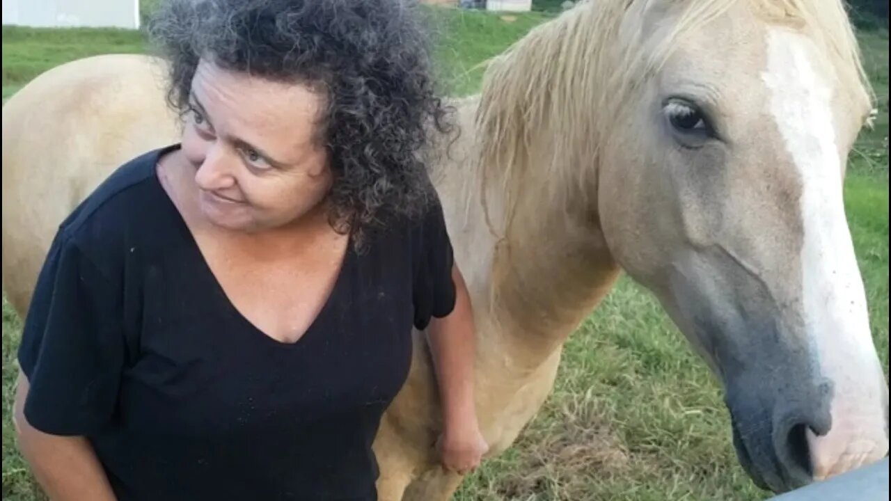 Brumby realises the perks in trusting her human, the scratches are enjoyable