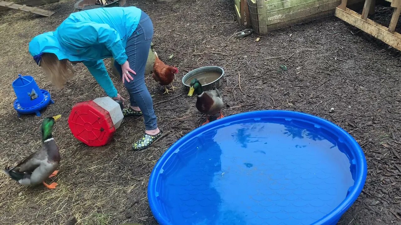 It’s raining but chores still need to be done