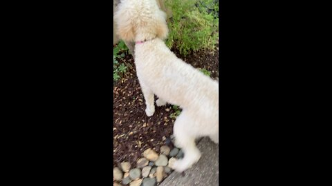 Zoey and her friend