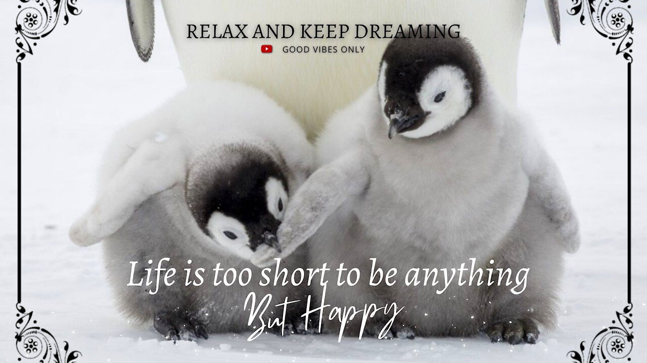 Cute, Emotional, Sentimental and Inspiring Piano Music To Improve your Mood