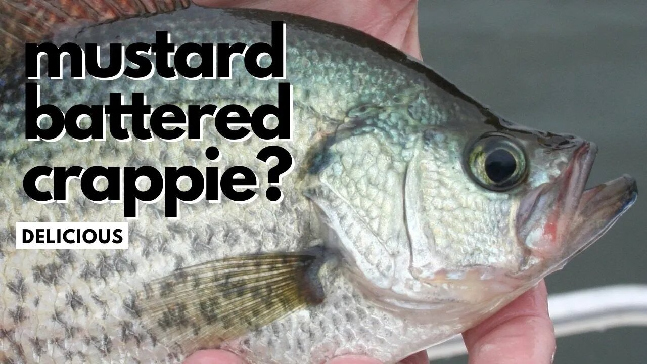 Crappie Fishing in the River {Catch-Clean-Cook} *Canoochee