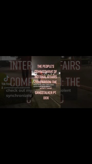 Gang-stalking in Action : The TikTok Edition on YouTube : The Crippled Gangstalker Pt. XXXI