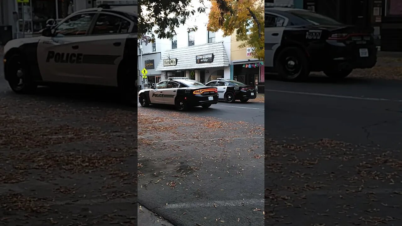 Visalia California Police