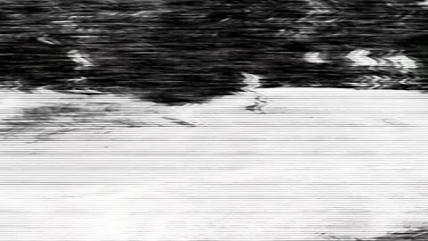 GYO: Tokyo Fish Attack Scene Riff