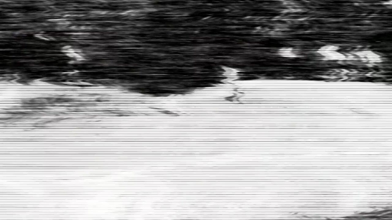 GYO: Tokyo Fish Attack Scene Riff