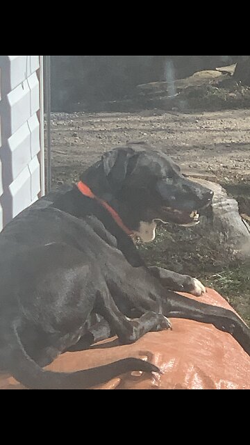 Marking my territory.