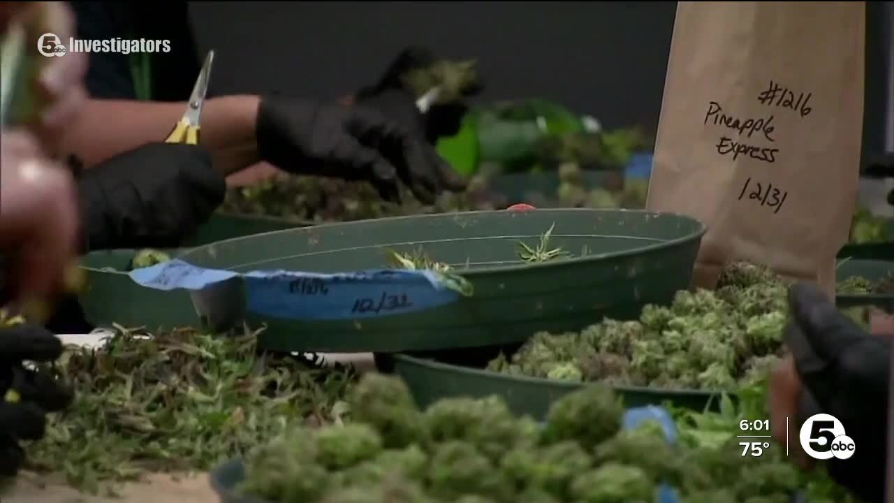 City of Cleveland working to vacate low-level marijuana convictions in stages