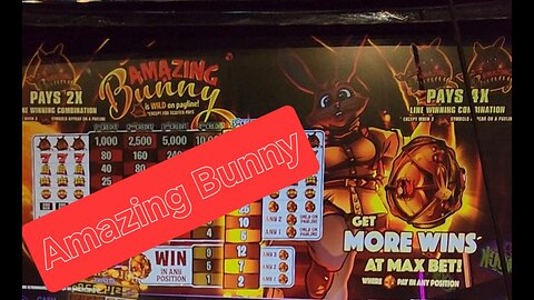 Amazing Bunny🐰