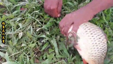 The little boy went fishing by the river and brought home big carp to improve his food +15