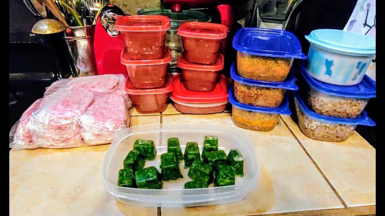 Freezer Meal Prep 17 Family Size Meals Under $5 Each-Microwave-Ground Beef Storage, Salsa & Cilantro