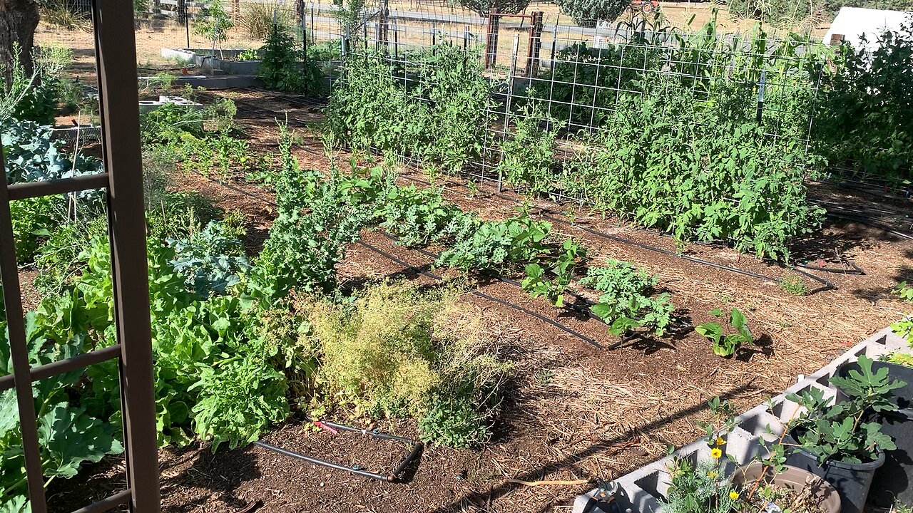 High Desert Garden Tour - July 2023