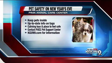 Pet-safety reminders for New Years Eve