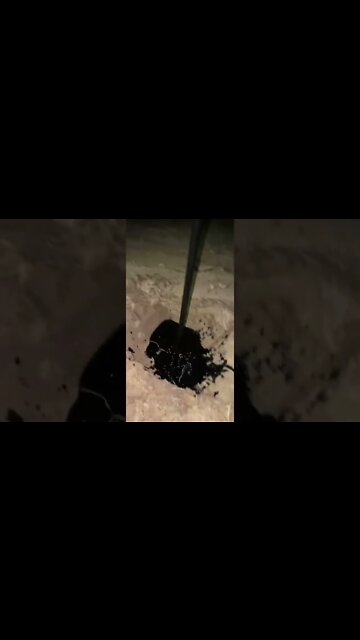 #shorts #2022 funny,prank,funjokes,dad jokes,funny memes,funny video,fun,laughing,funny animal,knock