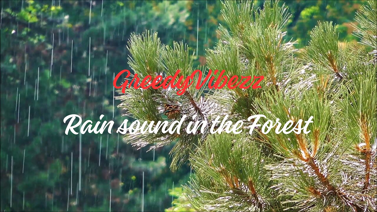 Rain Sound in the Forest with Thunder | Rain Mood