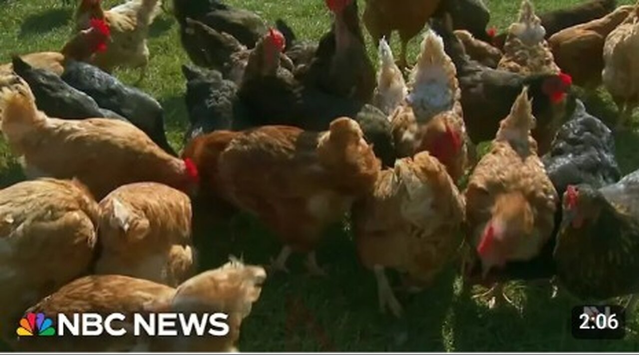 CDC. Reports first severe human case of bird flu in u.s