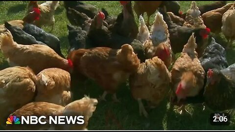 CDC. Reports first severe human case of bird flu in u.s