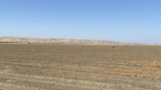 Megadrought Forcing Farmers To Abandon Fields