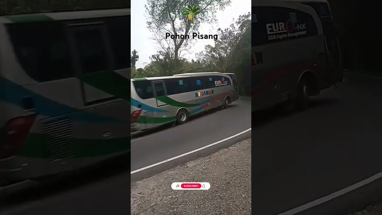 Bus Budiman Tangerang Pangandaran