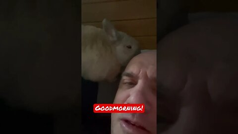 Goodmorning #unastanzatuttaperme #giochidiruolo #bunny #kissing #goodmorning