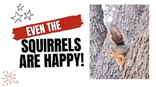 Happy Squirrel 😀