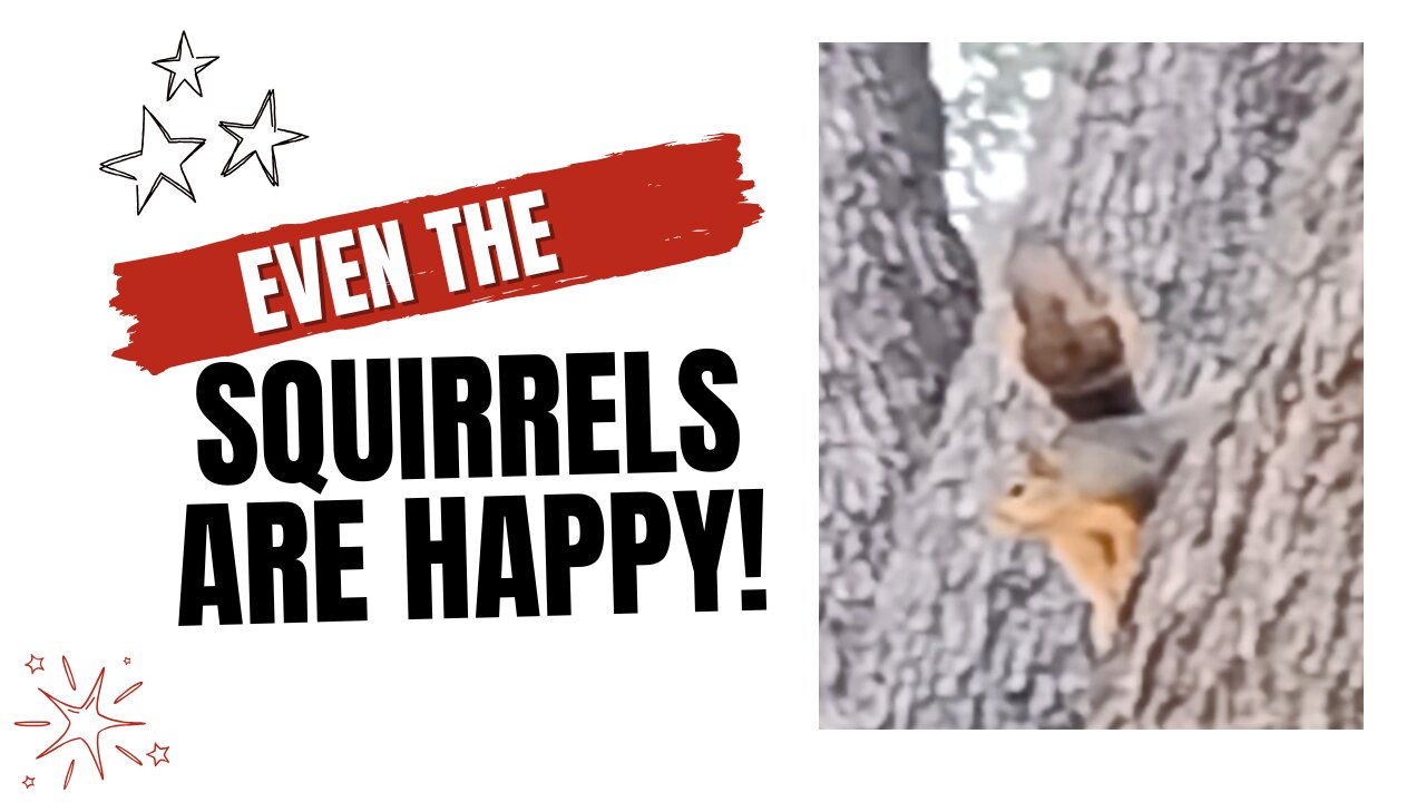 Happy Squirrel 😀