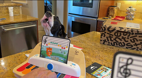 Funny Great Dane Sings Duet With Baby Piano Twinkle Twinkle Little Star