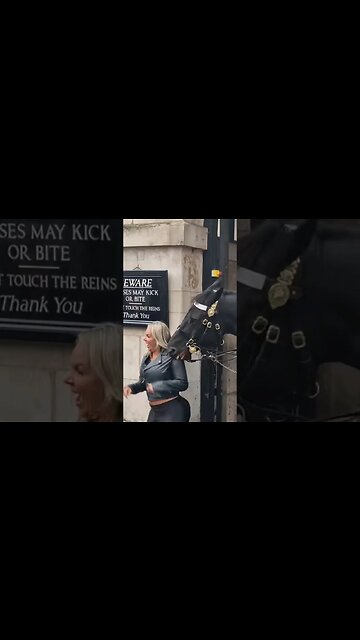 horse bites her on the shoulder #horseguardsparade