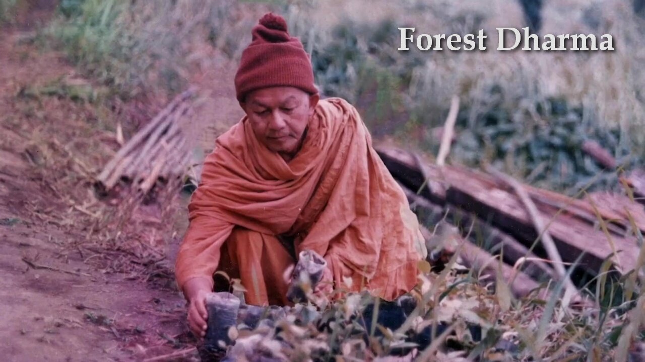Forest Dharma