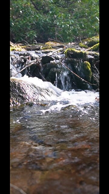 Beauty of the water on the Allegheny Front Trail
