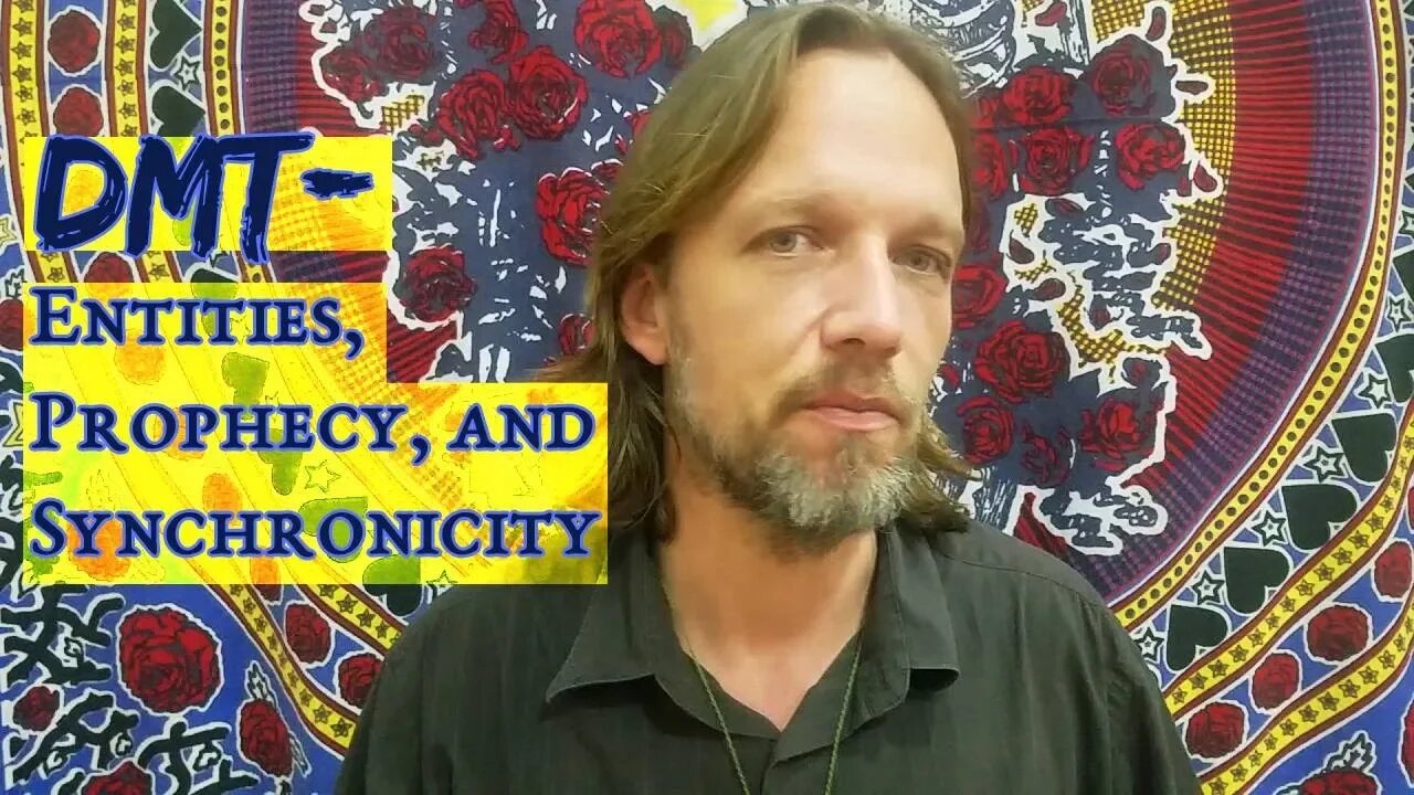 DMT-Entities, Precognition, and Synchronicity