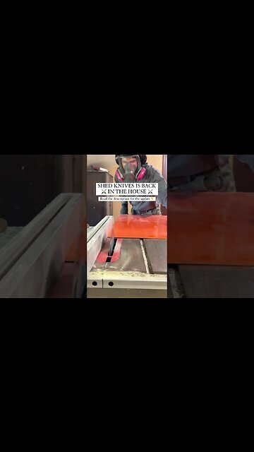 SHED KNIVES IS BACK - STRONGER THAN EVER | Shed Knives #shedknives #shorts