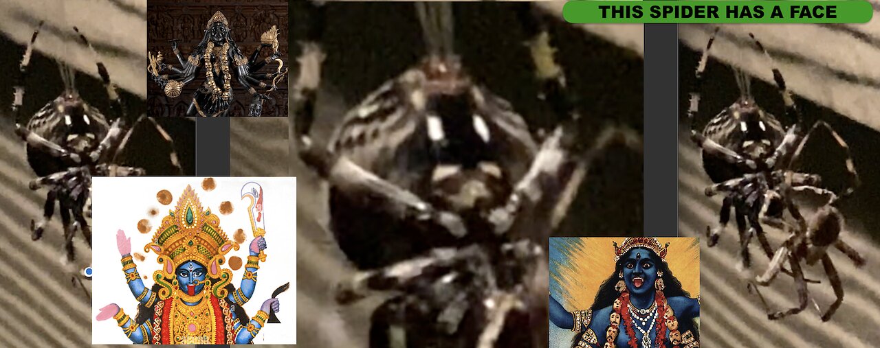 Spider lookin like Kali shows up as Maui Fires begin. What is the MEANING?