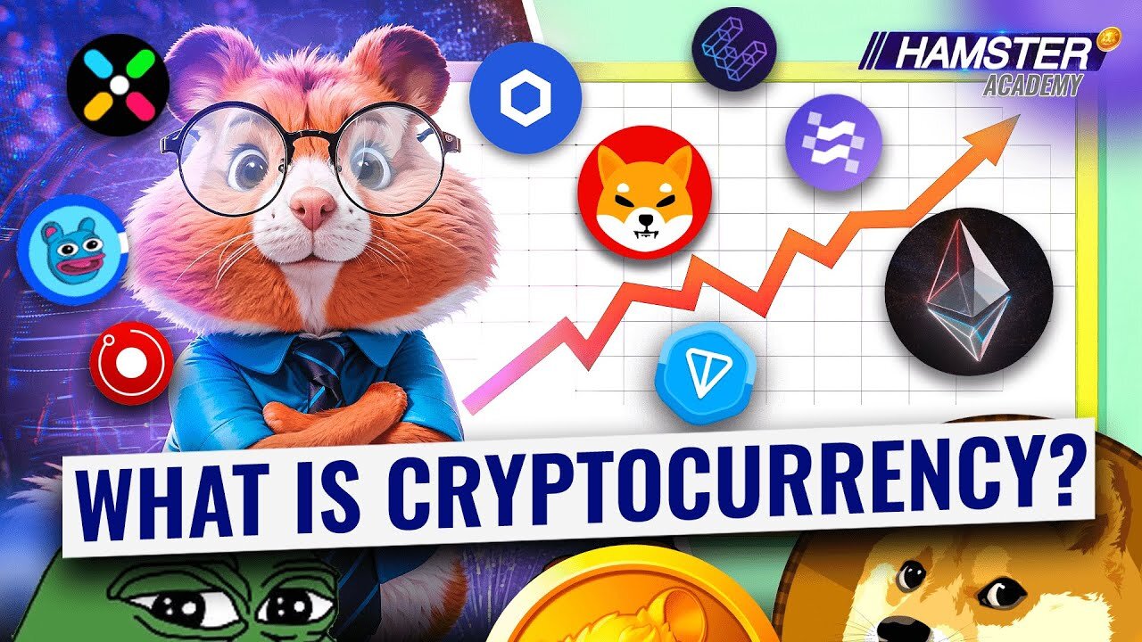 Cryptocurrency Explained 🪙 The main idea in 3 minutes. HAMSTER ACADEMY