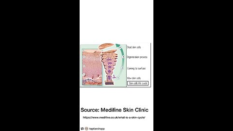Everyone has a skin cycle