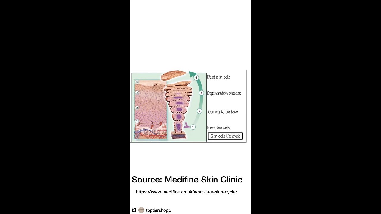 Everyone has a skin cycle