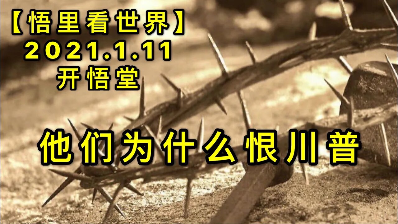 KWT826他们为什么恨川普20210111⑥【悟里看世界】