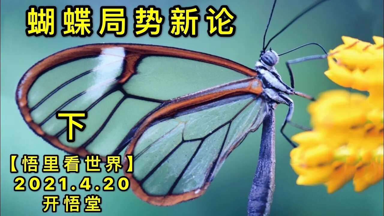 KWT1536(下)蝴蝶局势新论20210420-3【悟里看世界】
