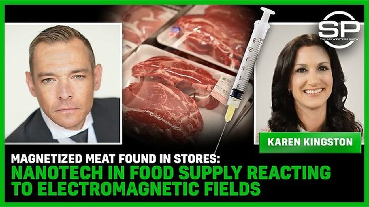 Magnetized Meat Found In Stores: NANOTECH In Food Supply Reacting To EMFs - Karen Kingston